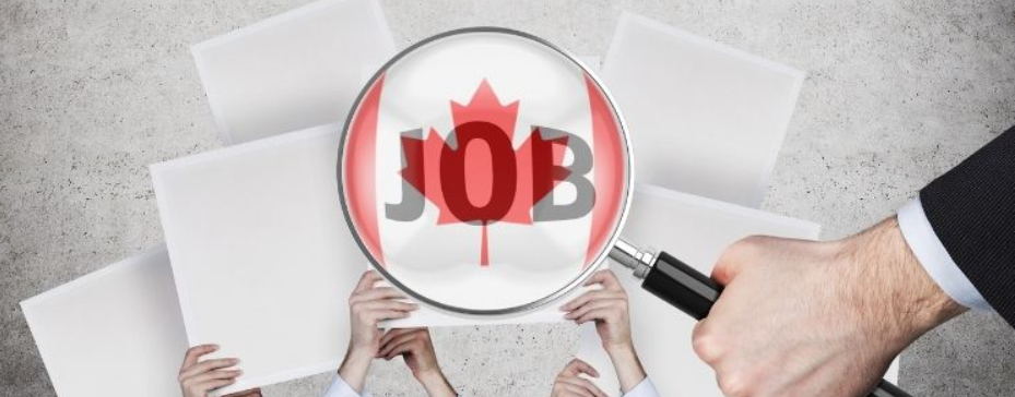 How to Network and Find Career Opportunities in Canada